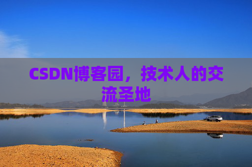 CSDN博客园，技术人的交流圣地